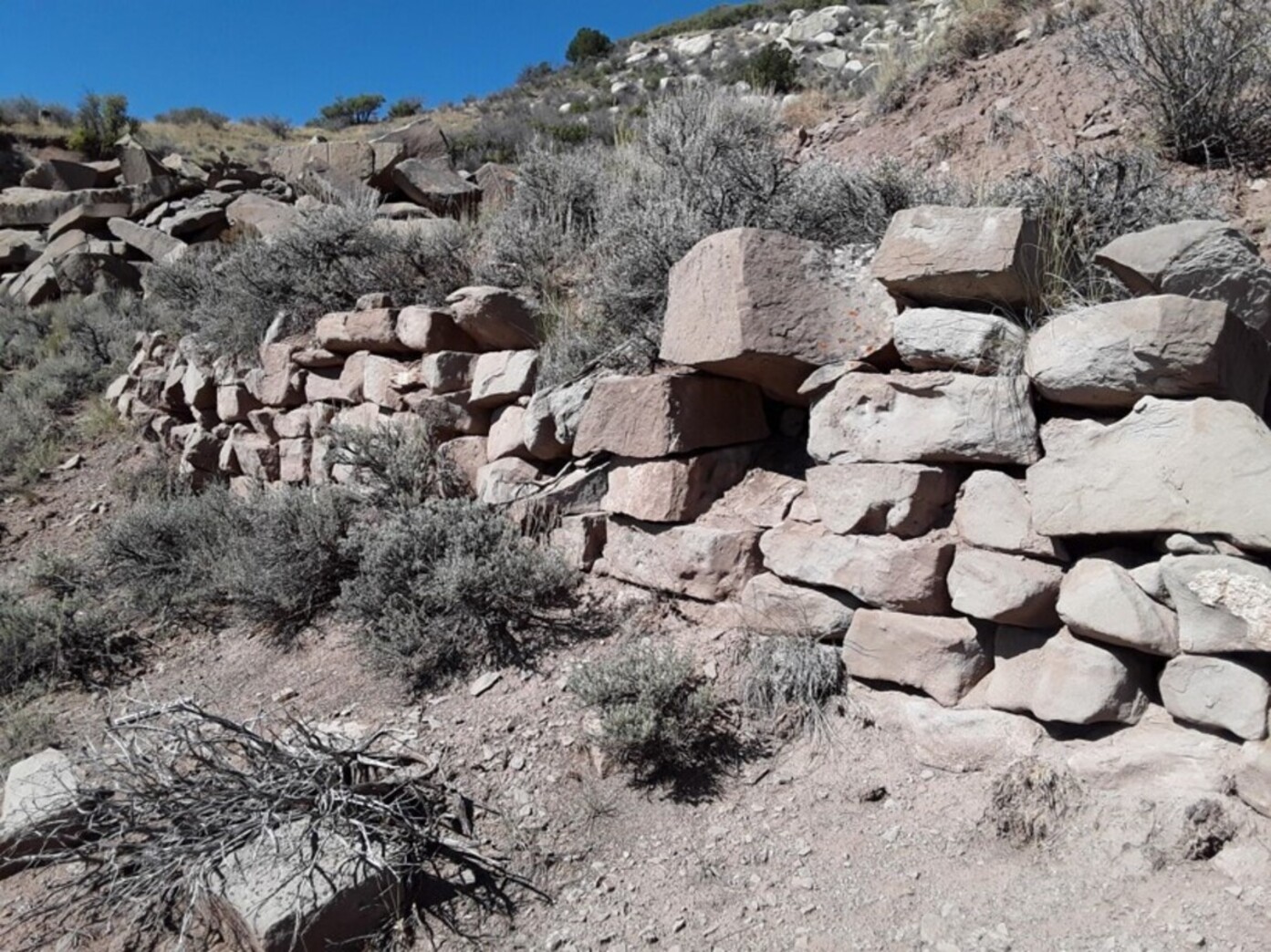 Featured image for “Potter’s Quarry”